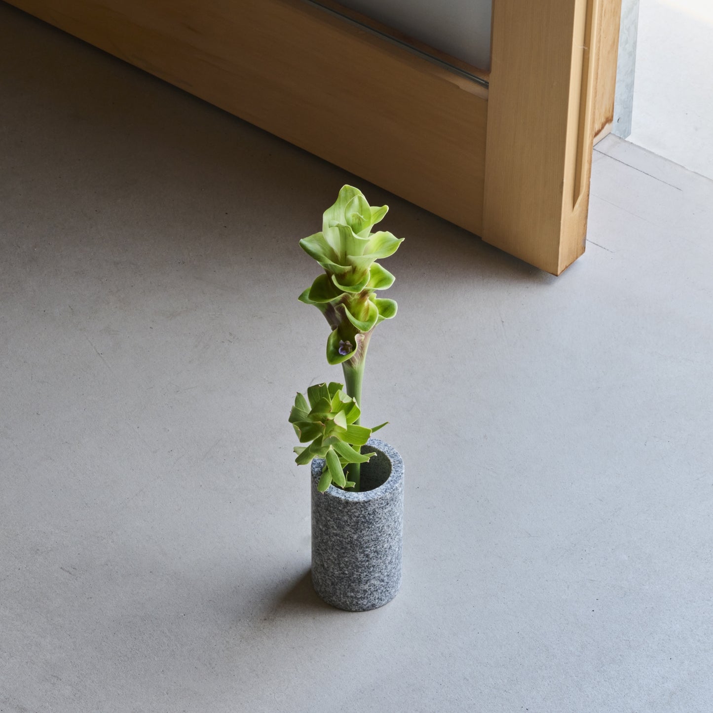 CS - STAND / 70 S / komame